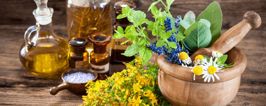 Herbal Medicine in the spotlight Once More