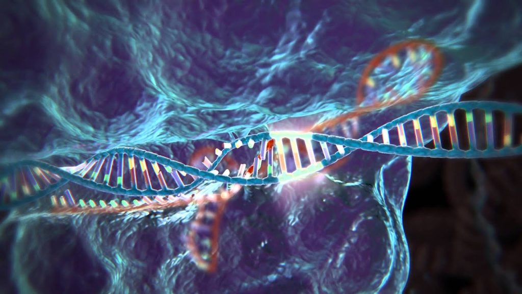 2022 CRISPR Gene Editing Updates for UTIs and HIV/AIDS Clinical Trials